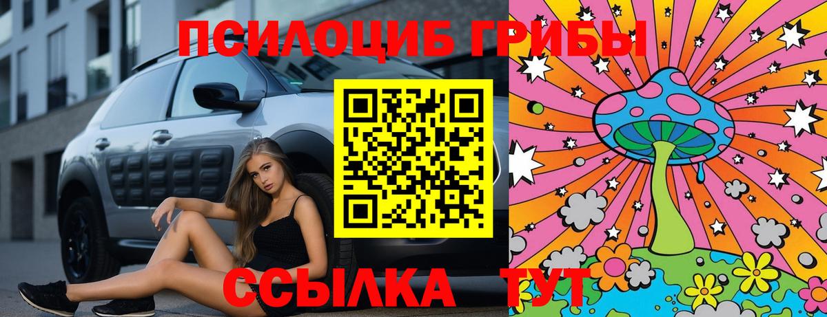 Великий Устюг  Псилоцибиновые грибы MAGIC MUSHROOMS  Вход с VPN 