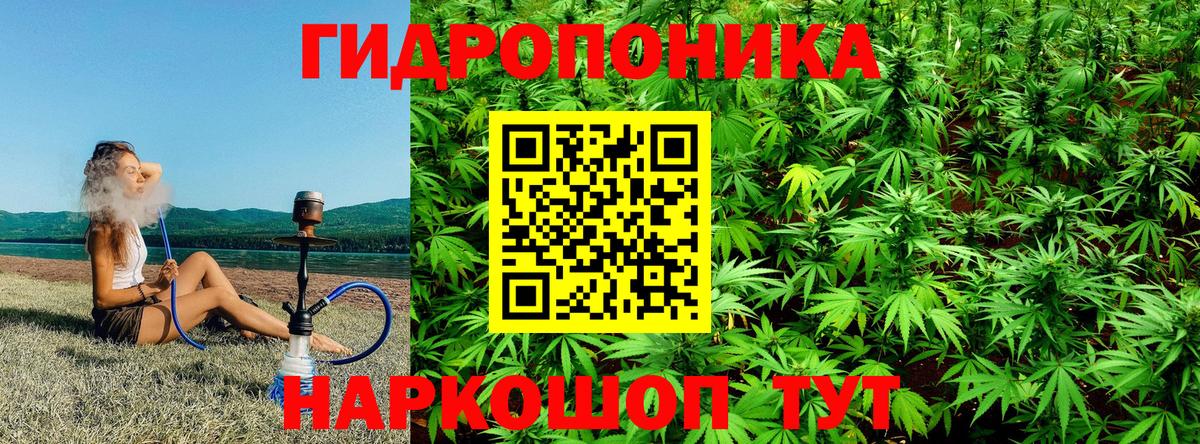 Каннабис Ganja Великий Устюг